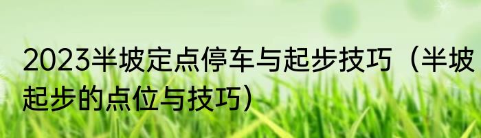什么是百香果（百香果是什么水果）