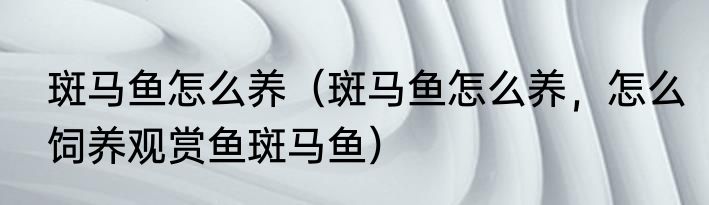 斑马鱼怎么养（斑马鱼怎么养，怎么饲养观赏鱼斑马鱼）