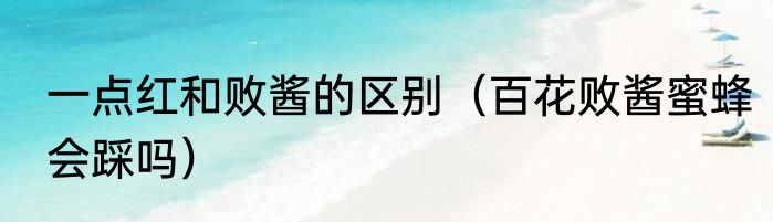 一点红和败酱的区别（百花败酱蜜蜂会踩吗）