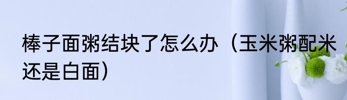 棒子面粥结块了怎么办（玉米粥配米还是白面）