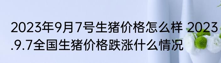 2023年9月7号生猪价格怎么样 2023.9.7全国生猪价格跌涨什么情况