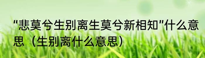 “悲莫兮生别离生莫兮新相知”什么意思（生别离什么意思）