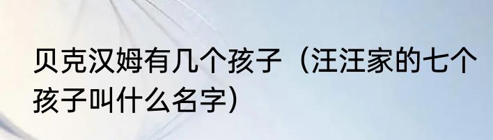 贝克汉姆有几个孩子（汪汪家的七个孩子叫什么名字）
