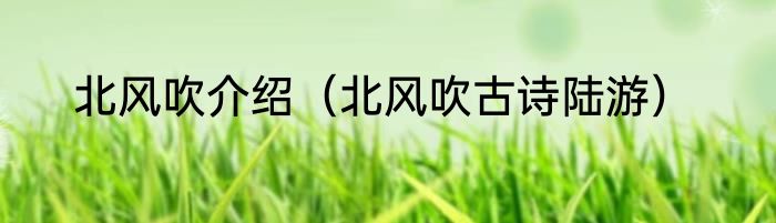 北方有佳人女主演是谁（北方有佳人殷先生是谁演的）
