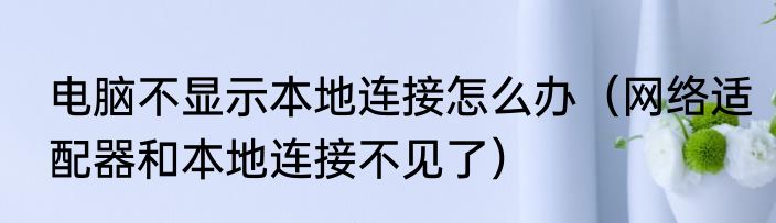 电脑不显示本地连接怎么办（网络适配器和本地连接不见了）