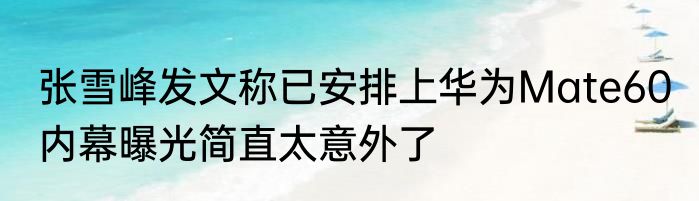 张雪峰发文称已安排上华为Mate60 内幕曝光简直太意外了