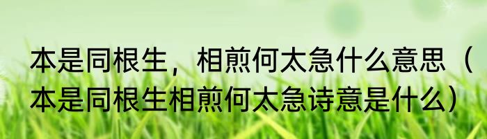 本是同根生，相煎何太急什么意思（本是同根生相煎何太急诗意是什么）