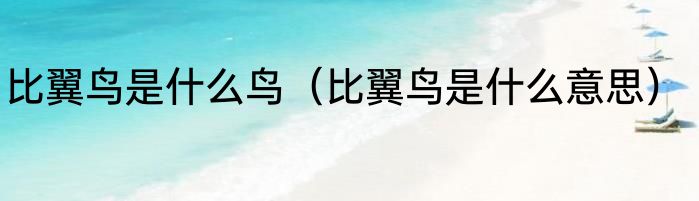 比翼鸟是什么鸟（比翼鸟是什么意思）
