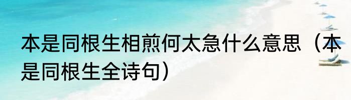 本是同根生相煎何太急什么意思（本是同根生全诗句）