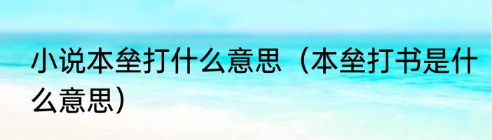 小说本垒打什么意思（本垒打书是什么意思）