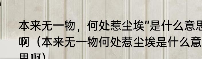 本来无一物，何处惹尘埃”是什么意思啊（本来无一物何处惹尘埃是什么意思啊）