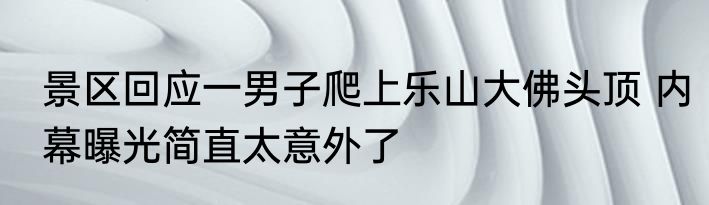 景区回应一男子爬上乐山大佛头顶 内幕曝光简直太意外了