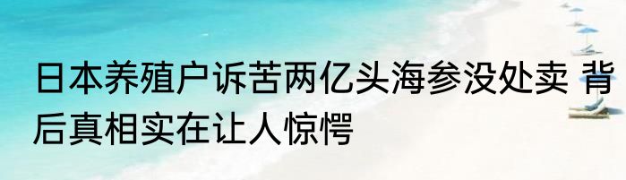 日本养殖户诉苦两亿头海参没处卖 背后真相实在让人惊愕
