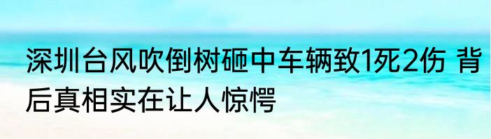 深圳台风吹倒树砸中车辆致1死2伤 背后真相实在让人惊愕