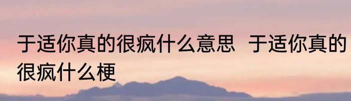 于适你真的很疯什么意思  于适你真的很疯什么梗