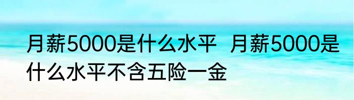 月薪5000是什么水平  月薪5000是什么水平不含五险一金