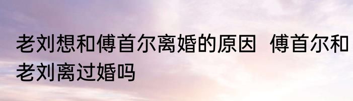 老刘想和傅首尔离婚的原因  傅首尔和老刘离过婚吗
