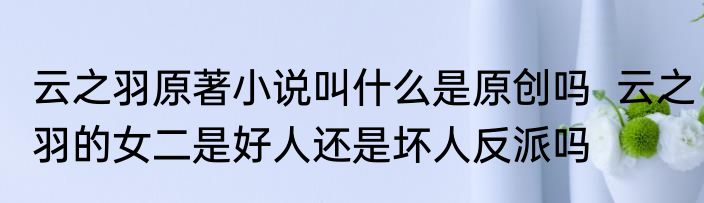 云之羽原著小说叫什么是原创吗  云之羽的女二是好人还是坏人反派吗