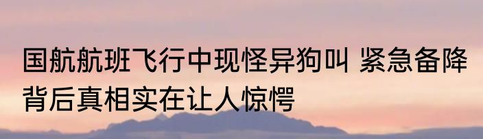 国航航班飞行中现怪异狗叫 紧急备降 背后真相实在让人惊愕