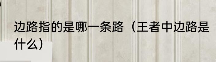 边路指的是哪一条路（王者中边路是什么）