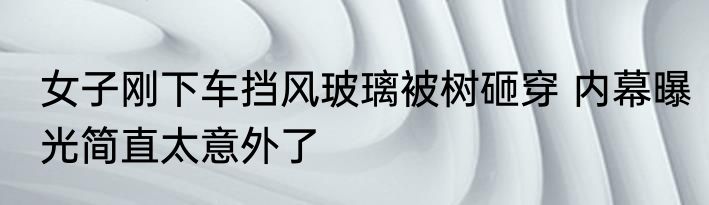 女子刚下车挡风玻璃被树砸穿 内幕曝光简直太意外了