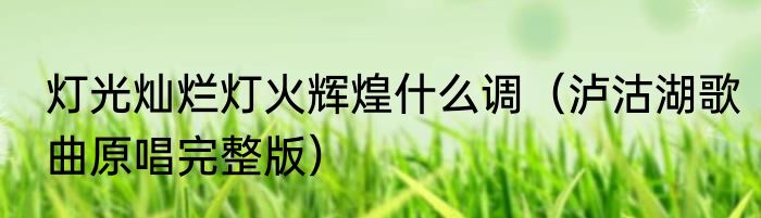 灯光灿烂灯火辉煌什么调（泸沽湖歌曲原唱完整版）