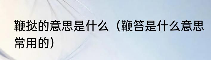 鞭挞的意思是什么（鞭笞是什么意思常用的）
