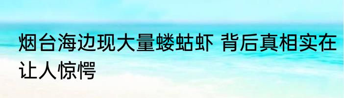 烟台海边现大量蝼蛄虾 背后真相实在让人惊愕