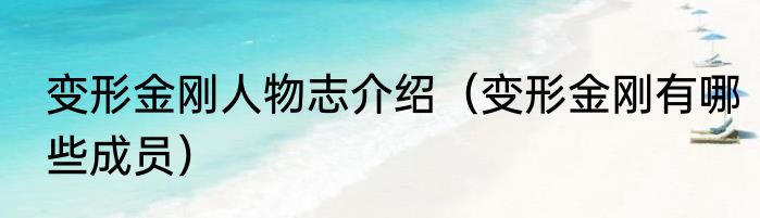 变形金刚人物志介绍（变形金刚有哪些成员）