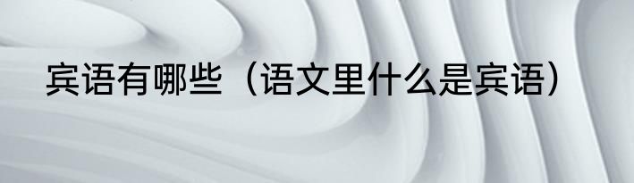 宾语有哪些（语文里什么是宾语）
