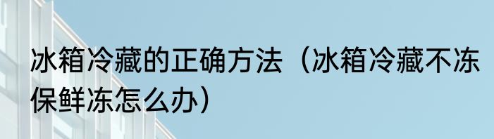 冰箱冷藏的正确方法（冰箱冷藏不冻保鲜冻怎么办）