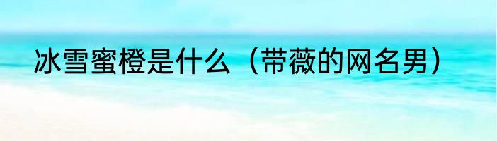 冰雪蜜橙是什么（带薇的网名男）
