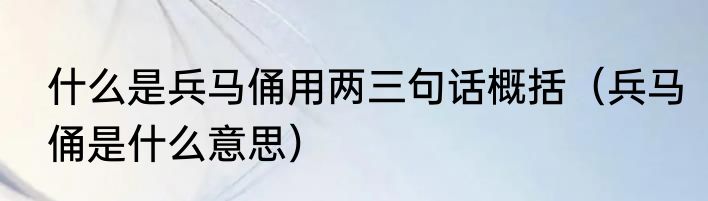什么是兵马俑用两三句话概括（兵马俑是什么意思）