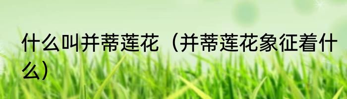 什么叫并蒂莲花（并蒂莲花象征着什么）