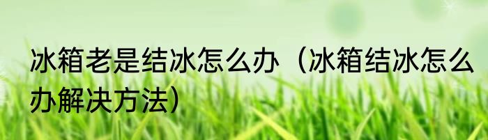 冰箱老是结冰怎么办（冰箱结冰怎么办解决方法）