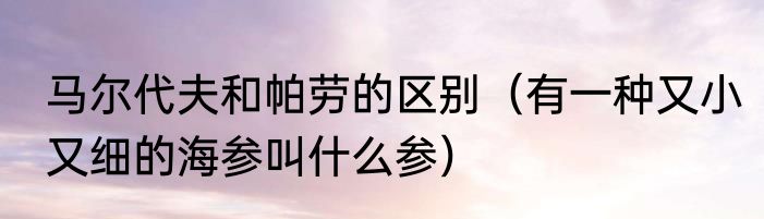马尔代夫和帕劳的区别（有一种又小又细的海参叫什么参）