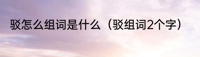 驳怎么组词是什么（驳组词2个字）