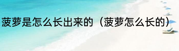 菠萝是怎么长出来的（菠萝怎么长的）