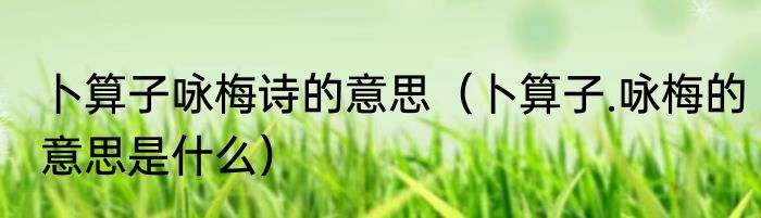 卜算子咏梅诗的意思（卜算子.咏梅的意思是什么）