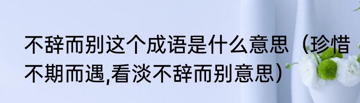 不辞而别这个成语是什么意思（珍惜不期而遇,看淡不辞而别意思）