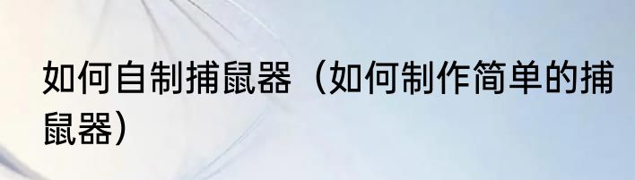 如何自制捕鼠器（如何制作简单的捕鼠器）