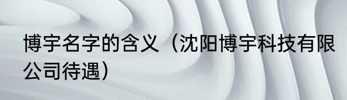 博宇名字的含义（沈阳博宇科技有限公司待遇）