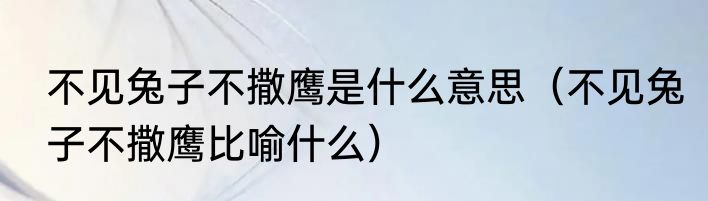 不见兔子不撒鹰是什么意思（不见兔子不撒鹰比喻什么）