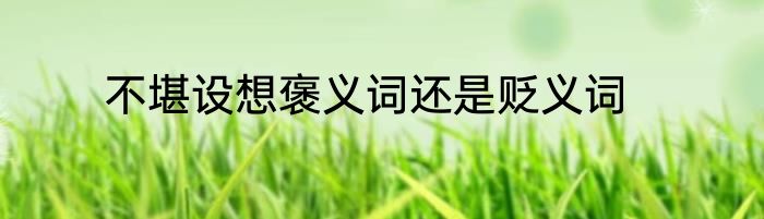 不堪设想褒义词还是贬义词