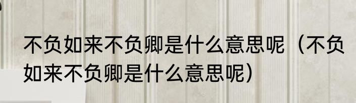 不负如来不负卿是什么意思呢（不负如来不负卿是什么意思呢）