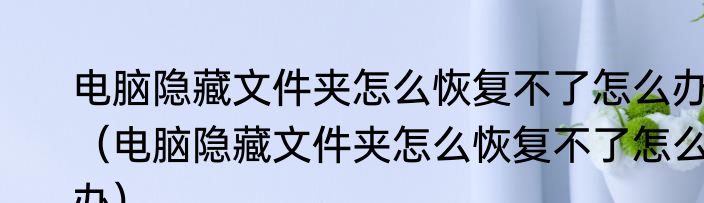电脑隐藏文件夹怎么恢复不了怎么办（电脑隐藏文件夹怎么恢复不了怎么办）