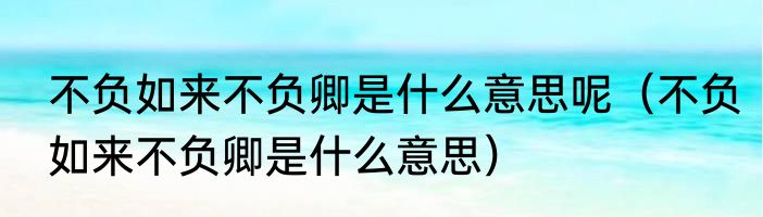 不负如来不负卿是什么意思呢（不负如来不负卿是什么意思）