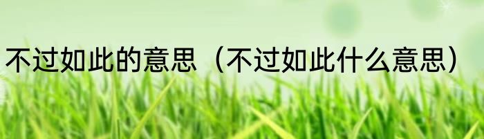 不过如此的意思（不过如此什么意思）