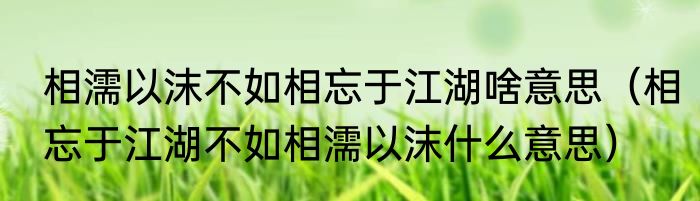 相濡以沫不如相忘于江湖啥意思（相忘于江湖不如相濡以沫什么意思）