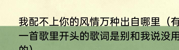 我配不上你的风情万种出自哪里（有一首歌里开头的歌词是别和我说没用的）